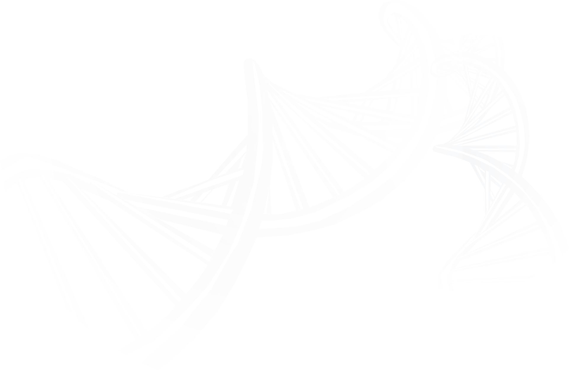 �й����ط�����(�ɷ�)���޹�˾-�ٷ���վ